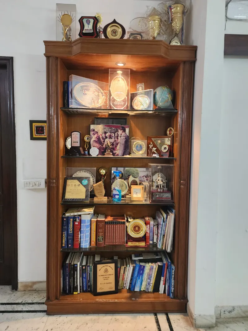Cabinet showcase