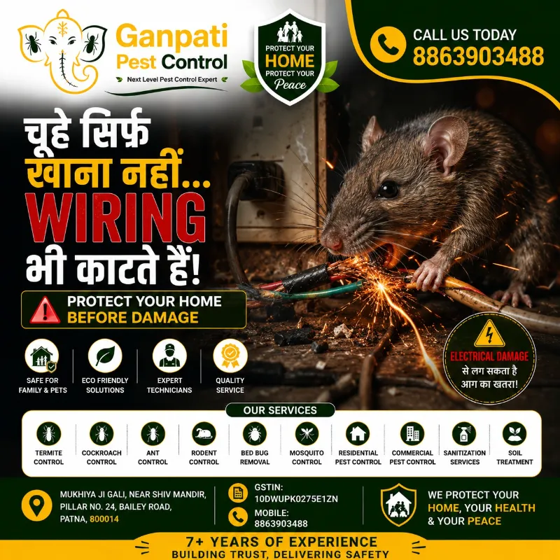 Ganpati Pest Control – Best Pest Control Services in Patna