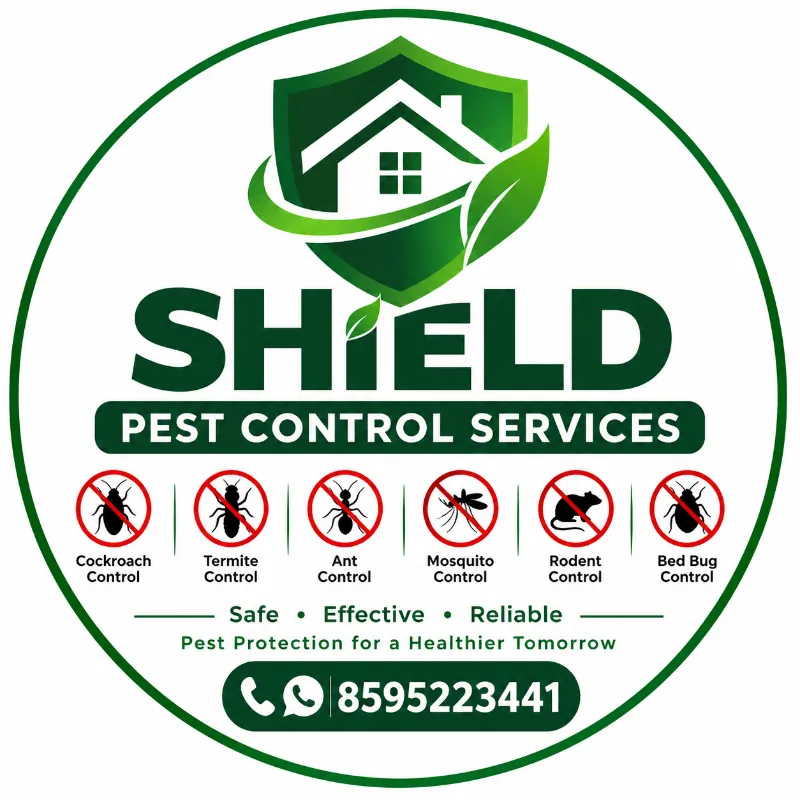 Best Pest control services in noida NCR