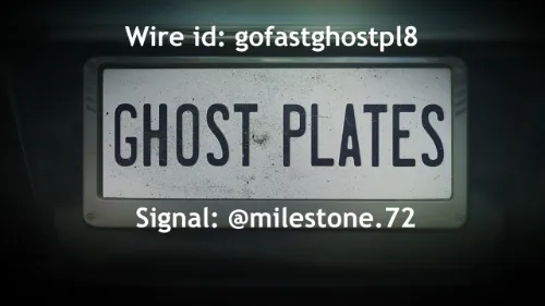 Buy Active Blackout License Plate Cover