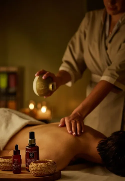 Arya Spa Andheri  Premium Body Massage Spa  8976804166