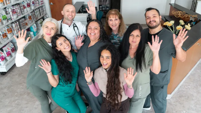 Pembroke Veterinary Clinic | Compassionate Pet Care at Green Pines Ani photo 2