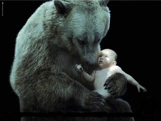 I'm looking for an illustrator 