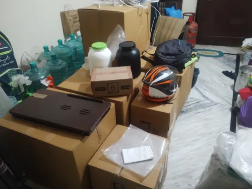 Brain Packers and Movers