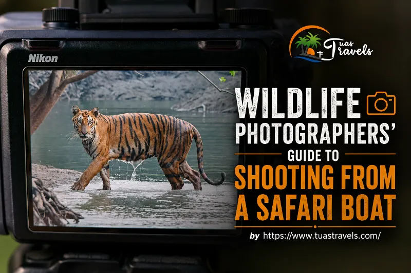 The Best of Sundarban Wildlife Photography  - Others for sale in South 24 Parganas, West Bengal