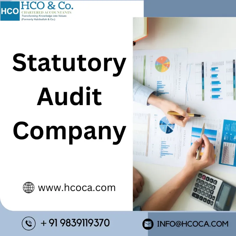 How Can a Statutory Audit Company Improve Financial Transparency? - Others in New Delhi for ₹0