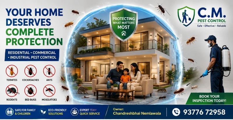 Surat’s Trusted Choice for a Pest-Free Home | C M Pest Control