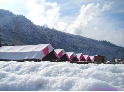 Camp Exotica 