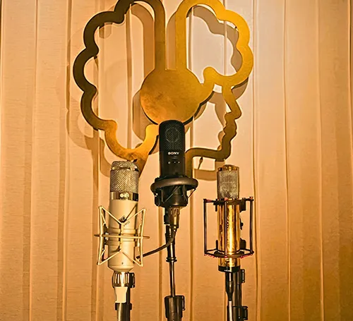 Telefunken Mic Recording Studio in Mohali & Chandigarh | Elahi Music  - Others in Ludhiana for ₹00