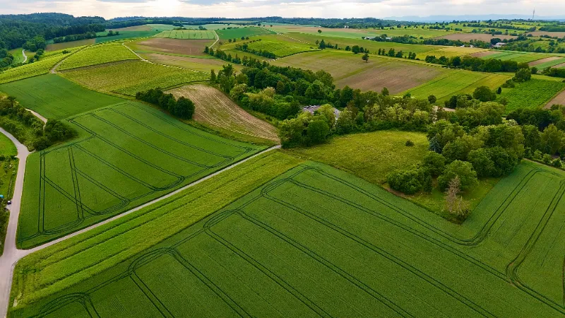 Realestate Agency’s in Nellore,A.P ☎: +91-7569732356