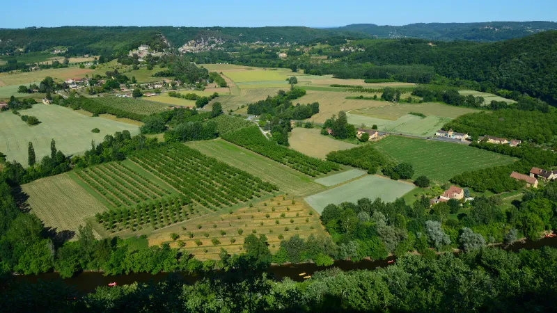 Realestate Agency’s in Nellore,A.P ☎: +91-7569732356