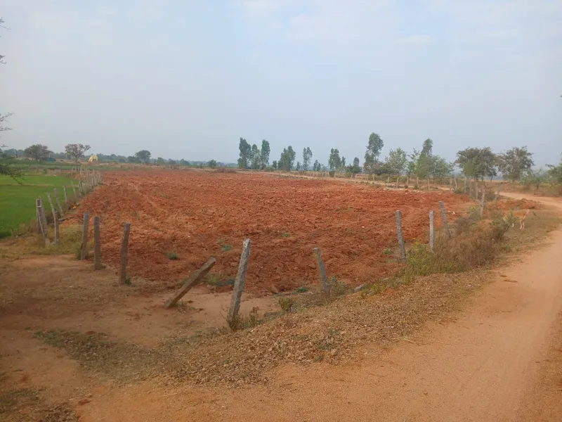 agricultural land at Porthyreddypalle, Cherial