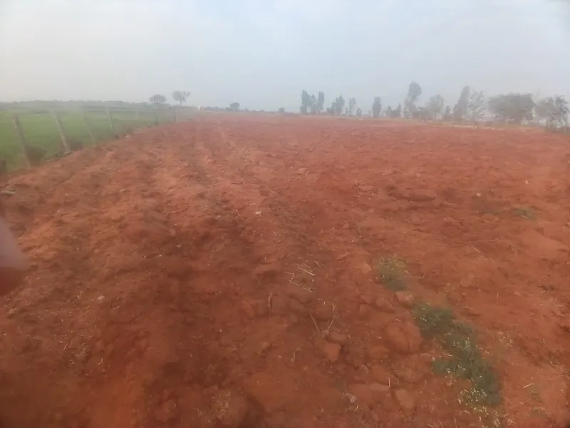 agricultural land at Porthyreddypalle, Cherial
